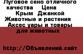 Луговое сено отличного качества! › Цена ­ 120 - Крым, Джанкой Животные и растения » Аксесcуары и товары для животных   